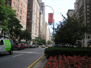 Lexington Street(?)