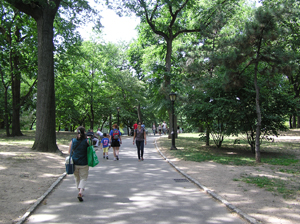 Central Park_ Sorti MET