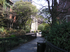 Brooklyn(1)