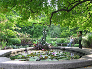 Central Park - Fontaine