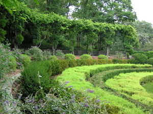 Central Park