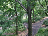 Columbia - Morningside Park